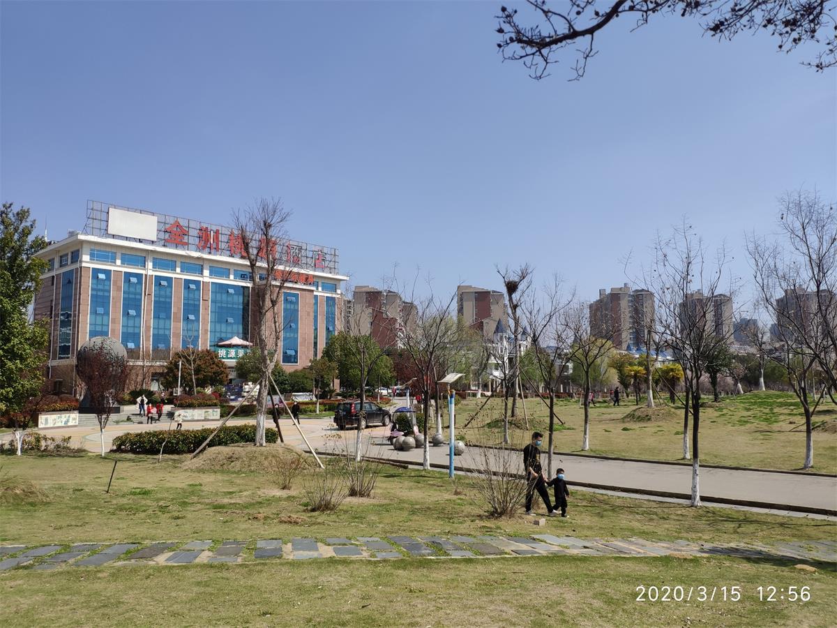 IMG_20200315_125650.jpg IMG_20200315_125650.jpg